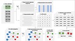 A network-based positive and unlabeled learning approach for fake news detection